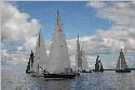 hanse cup
