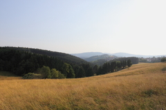 Harz Oberharz Mittelgebirge