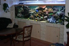Meerwasseraquaristik Meeresaquaristik Riffaquaristik
