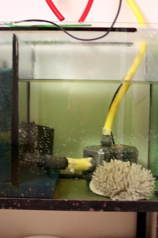 Meeresaquarium Filteranlage