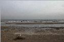 ostseewinter ostsee winter winterostsee