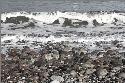 ostseewinter ostsee winter winterostsee