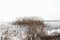 stettiner haff oderhaff