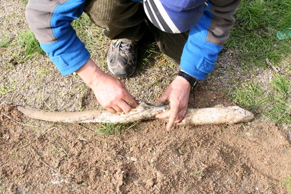 Killikus&reg; Fotographie