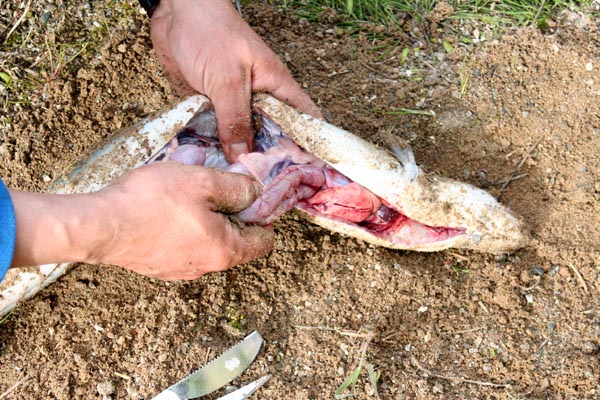 Killikus® Fotographie Killikus® Fotographie