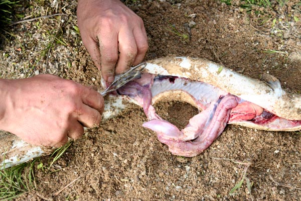 Killikus® Fotographie Killikus® Fotographie