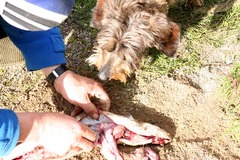 Killikus&reg; Fotographie