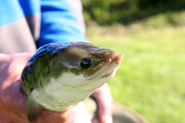 Killikus&reg; Fotographie