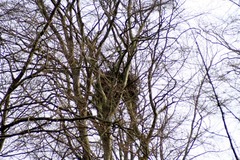 Killikus&reg; Fotographie