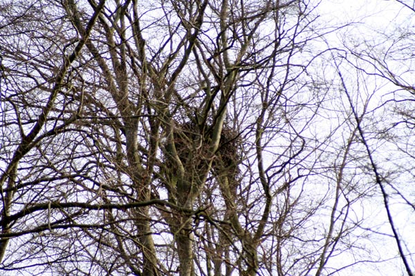 Killikus&reg; Fotographie