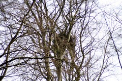 Killikus&reg; Fotographie