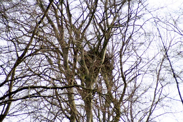 Killikus&reg; Fotographie