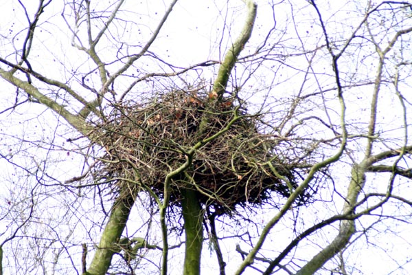 Killikus&reg; Fotographie