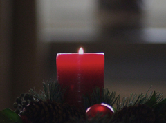 Killikus&reg; Fotographie