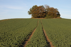 Killikus&reg; Fotographie