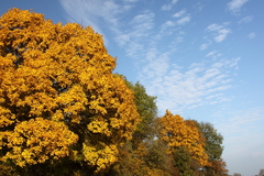 Killikus&reg; Fotographie