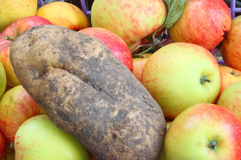 Killikus® Fotographie Killikus® Fotographie