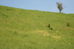 Killikus&reg; Fotographie