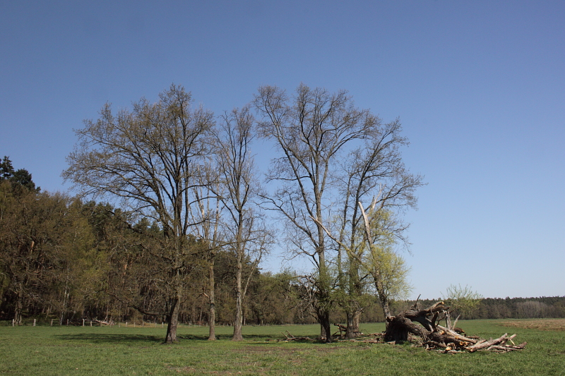 Killikus® Fotographie Killikus® Fotographie