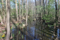 Killikus&reg; Fotographie