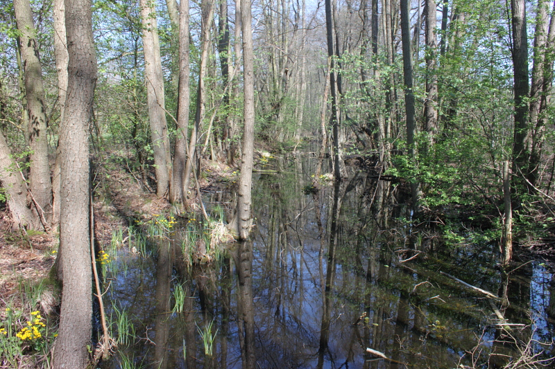 Killikus&reg; Fotographie