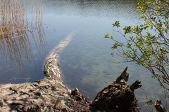 Killikus&reg; Fotographie