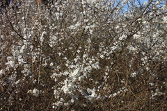 Killikus&reg; Fotographie