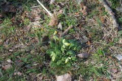 Killikus&reg; Fotographie