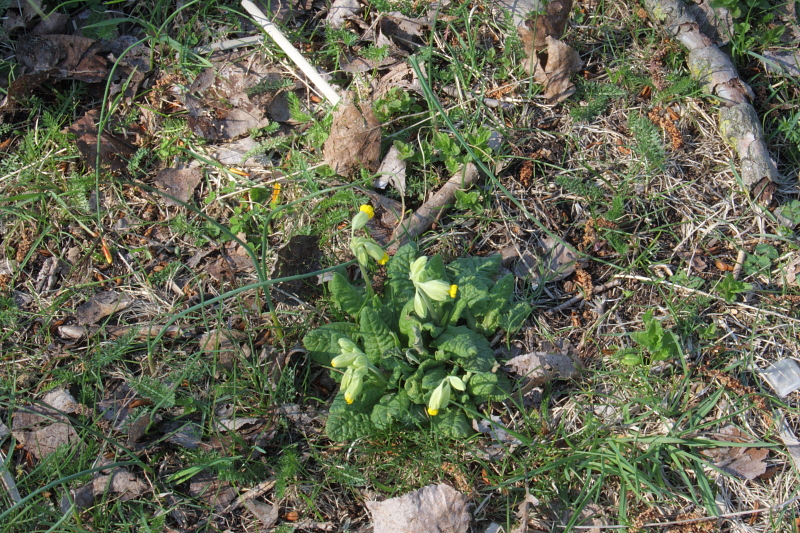 Killikus&reg; Fotographie