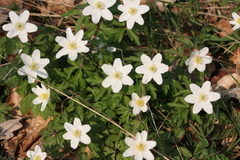 Killikus&reg; Fotographie