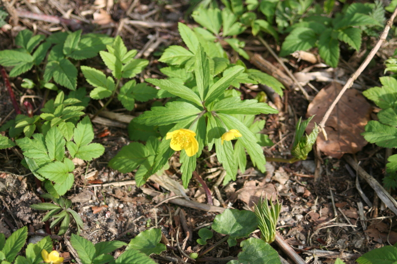 Killikus® Fotographie Killikus® Fotographie