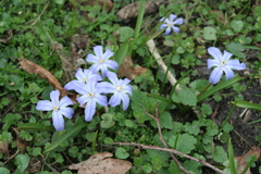 Killikus&reg; Fotographie