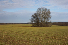 Killikus&reg; Fotographie