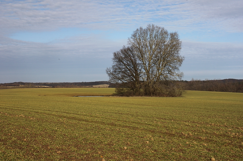 Killikus&reg; Fotographie