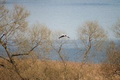 Killikus&reg; Fotographie