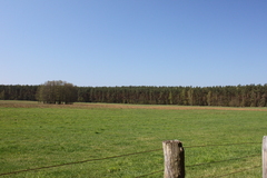 Killikus&reg; Fotographie