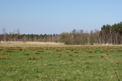 Killikus&reg; Fotographie