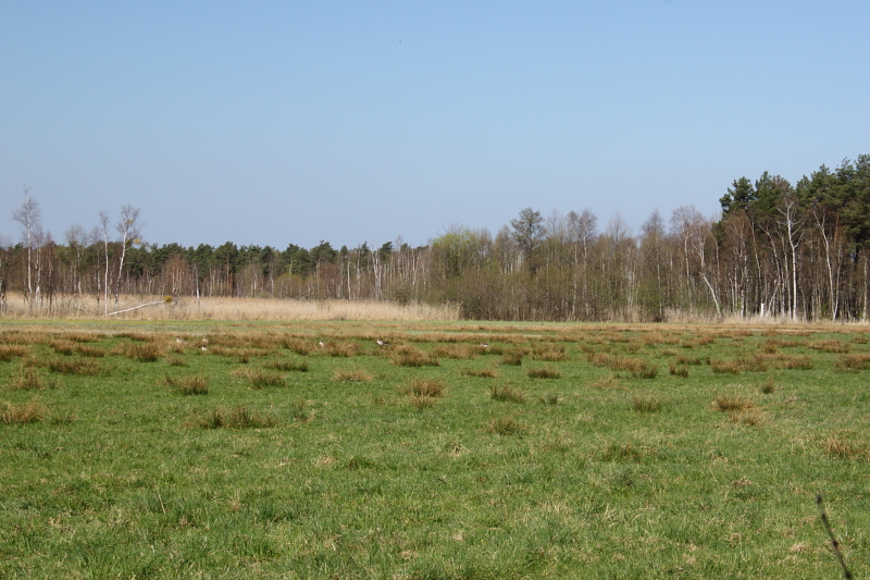 Killikus® Fotographie Killikus® Fotographie