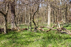 Killikus&reg; Fotographie