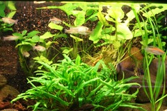 Killikus&reg; Fotographie