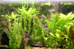 Killikus&reg; Fotographie