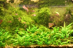 Killikus&reg; Fotographie