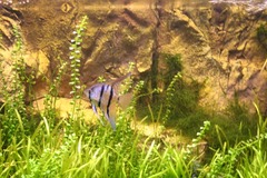 Killikus&reg; Fotographie