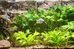 Killikus&reg; Fotographie