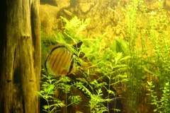 Killikus&reg; Fotographie