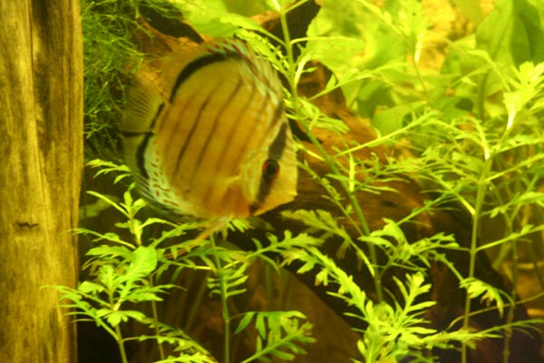 Killikus&reg; Fotographie