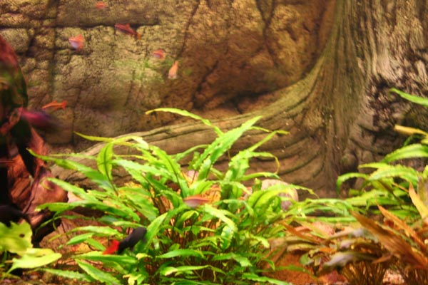 Killikus® Fotographie Killikus® Fotographie