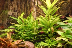 Killikus&reg; Fotographie