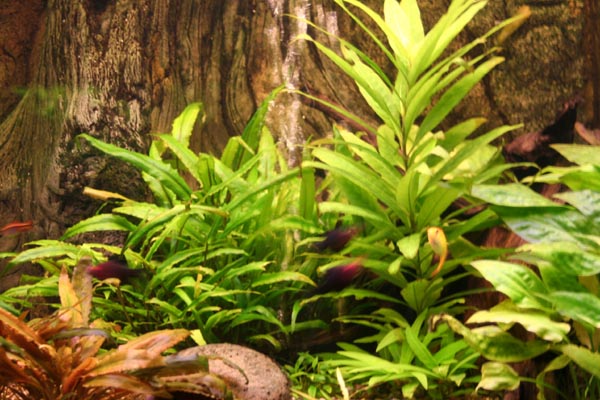 Killikus® Fotographie Killikus® Fotographie