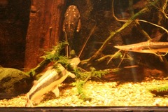 Killikus&reg; Fotographie